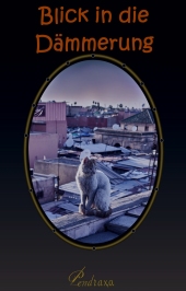Blick in die Dämmerung